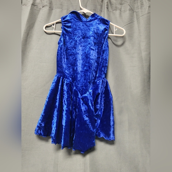 Girl's Blue Figure Skating Dress, Size Child's Large - Picture 1 of 4